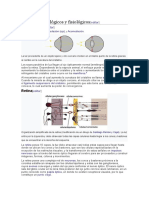 Aspectos Histológicos y Fisiológicos