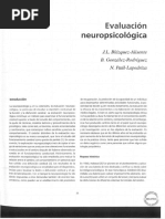 Tirapu - Evaluacion Neuropsicologica