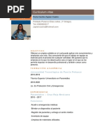 CV Perla Zapien