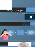 Analgesia Endógena