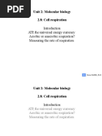 Unit 2: Molecular Biology 2.8: Cell Respiration