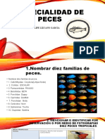 Especialidad de Peces