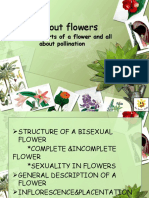 All About Flowers