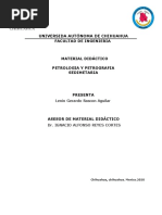 Manual de Petrologia y Petrografia Sedimentaria.