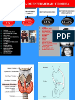 Fisiopatologia de Las Enfermedades Tiroideas