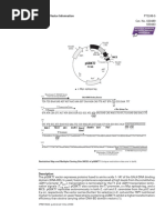 pGBKT7 PDF