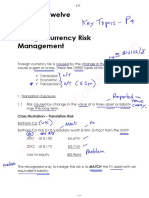 FX Risk MGT PDF