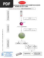 ISO 22717 Ficha Pseudomonas Aeruginosa