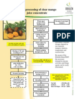 3 Clarified Mango Juice Concentrate-India