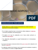 Tejido Adiposo 2020 PDF