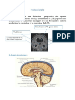 Hydrocéphalie