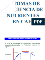 Cafe Sintomas de Deficiencia (Autoguardado) PDF