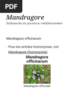 Mandragore - Wikipédia PDF