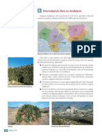 Diversidad de Flora en Andalucía: Mapa de Andalucía Con El Número de Especies Vegetales Que Existen en Cada Provincia