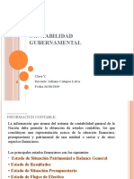 Contabilidad Gubernamental