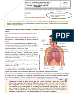 El Proceso de Respiracion Junio 9 Al 11 Grado Quinto