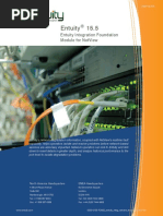 Entuity Integ Netview Foundation PDF