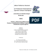 Practica 1 Reporte PDF