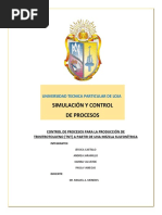 Control de Procesos para La Producción de Trinitrotolueno 1