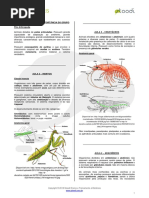 Artrópodes PDF