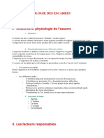 Physiopathologie Des Escarres