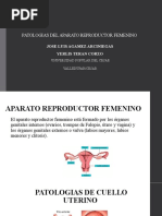 Patologia A.R.F