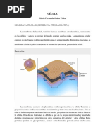 Célula PDF