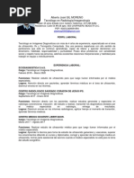 Curriculum Radiologo Colombia 01 PDF