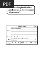 Conclusiones y Observaciones Lab 5