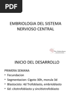 Embriologia Del Sistema Nervioso Central de Vicente