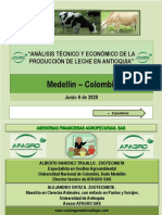 Analisis Economico Financiero Produccion Leche AFAGRO 090620