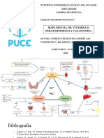 Mapa Mental Paratohormona Calcitonina Vit D