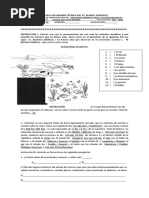 Examen Escuela Secundaria Técnica No