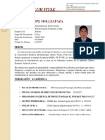 Yhonel Quispe CV-2019-03