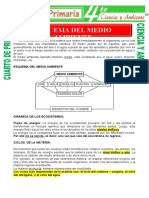 Esquema Del Medio Ambiente para Cuarto de Primaria