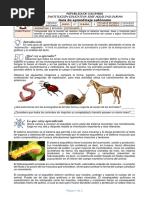 Guias Biologia 10º 7