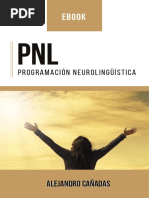 Elimina Tus Creencias Limitantes Con PNL