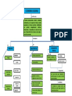 Mapa Conceptual