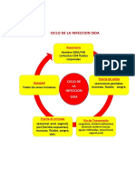 Ciclo de La Infeccion Tuberculosis