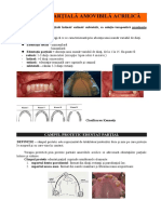 Tehnologia Protezei Acrilice Partiale