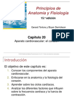 Capitulo 20 Aparato Cardiovascular Tortora