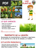 Sesión N°18 CT Primero Las Plantas Características y Funciones