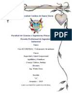 Caso ECOPETROL y Volcamiento de Andamio - Higiene y Salud Ocupacional