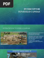 Interceptor Tunjuelo Canoas