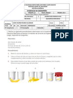 Experimento Banano PDF