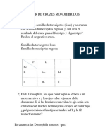 Taller de Ejercicios Monohibridos - Samuel Munera 8°a