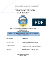 Principio Procesales Penales