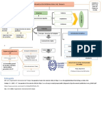 Organigrama Oit