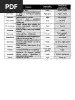 Actividad - Las Musas y Las Urracas