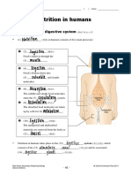 Nutrition in Humans: 6.1 The Human Digestive System